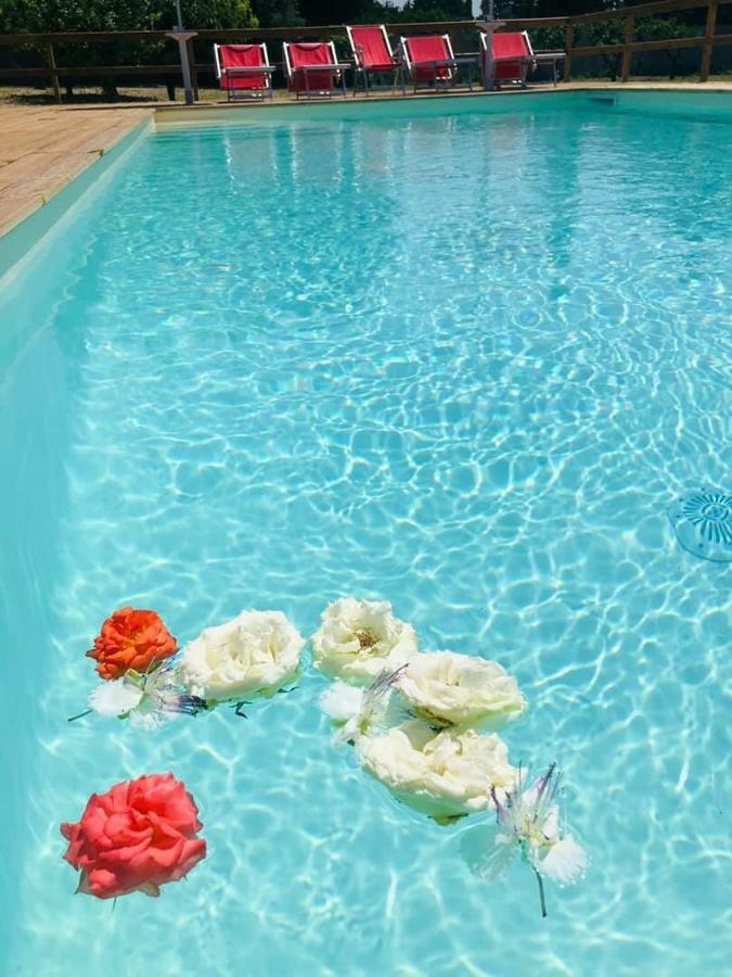 B&B Villa Jonica Gallipoli Zewnętrze zdjęcie